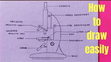 Drawing Tutorial: How to Draw a Microscope with Labels.